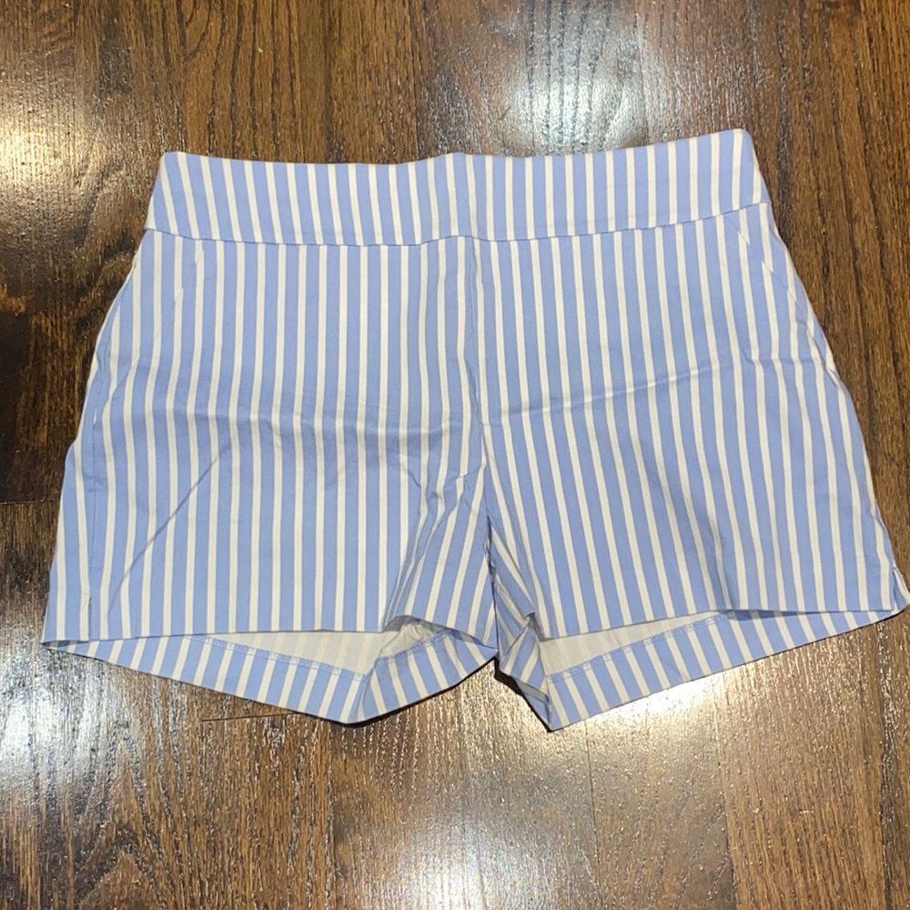 Blue and White Striped Shorts - Large